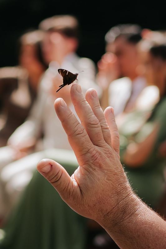 Borboleta pousada na mão de um convidado